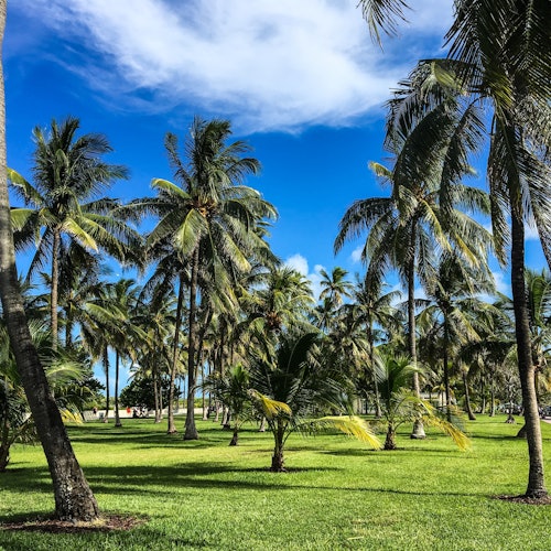 Flamingo Park