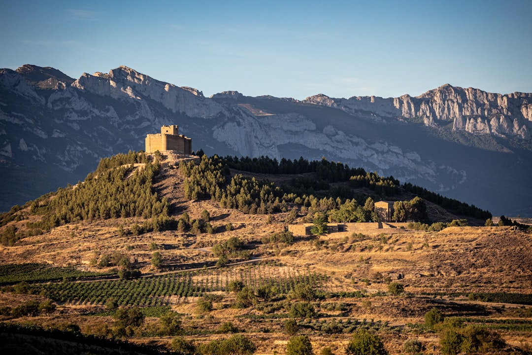 Vale dos Vinhedos