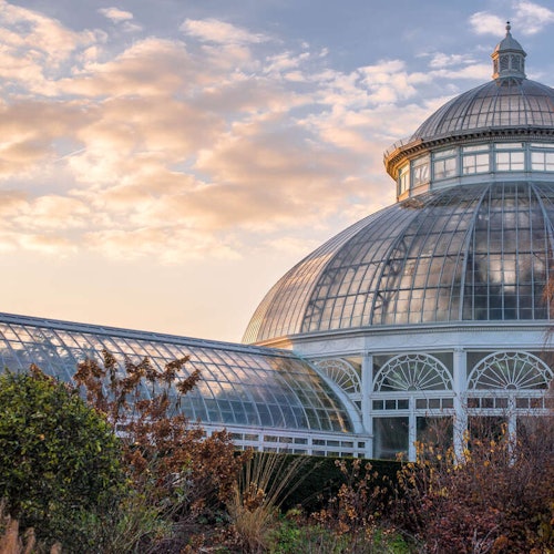 New York Botanical Garden