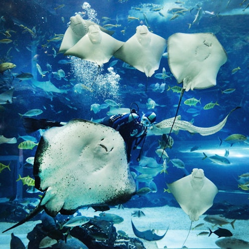 Aqua Planet Ilsan