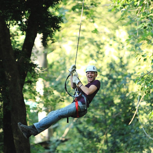 Aventura en las copas de los árboles: Parque Nowra