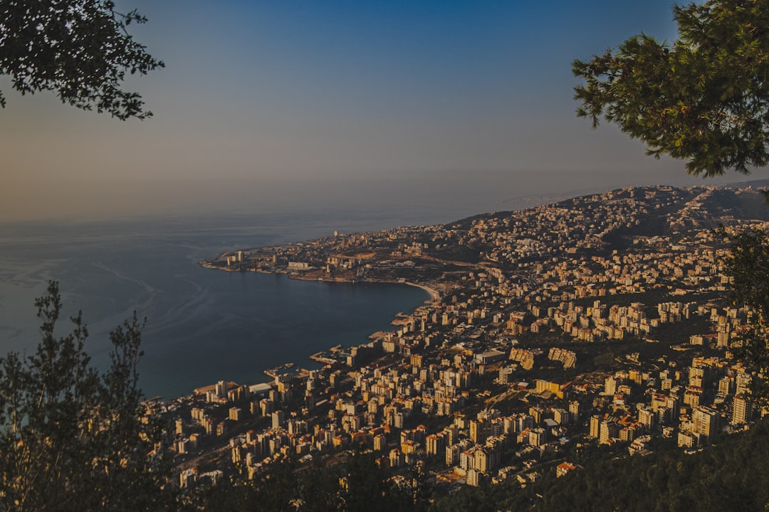 Zedern des Libanon