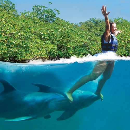 Delfinario Xcaret