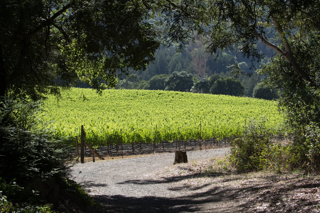 Sonoma Valley