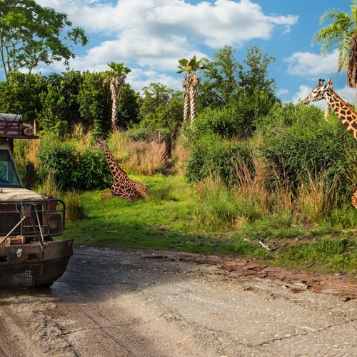Disney's Animal Kingdom