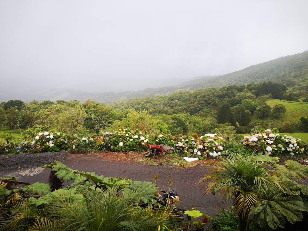 Águas termais de La Fortuna