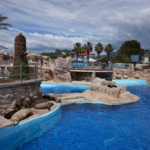 Aquasplash