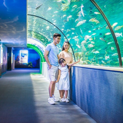 Acuario VinKE y Vinpearl