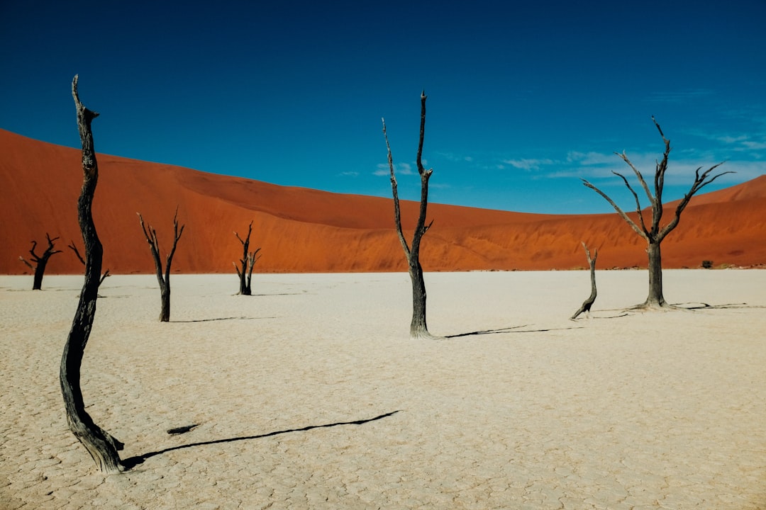 Deadvlei