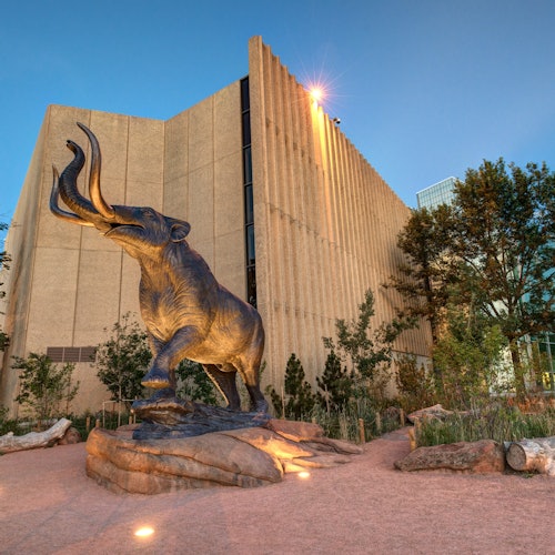 Denver Museum of Nature & Science