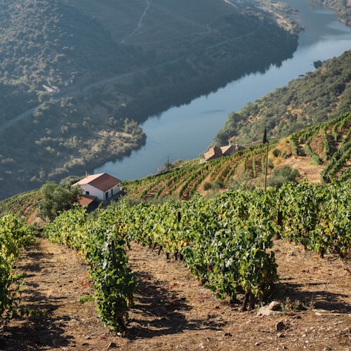 Excursiones de un día al Valle del Duero desde Oporto