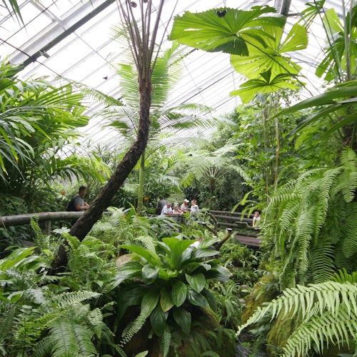 Australian Butterfly Sanctuary