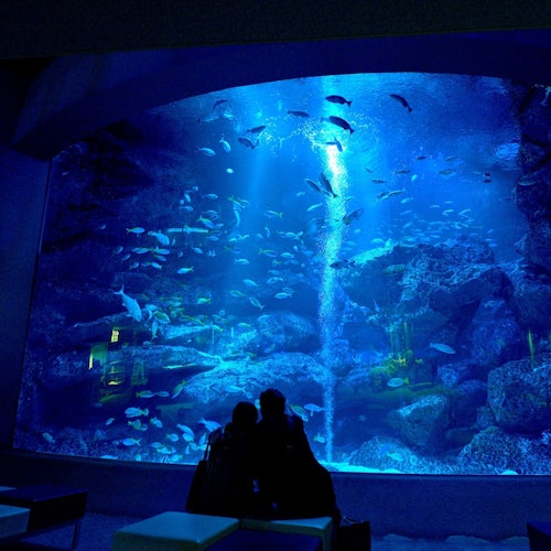 Acuario de Sumida
