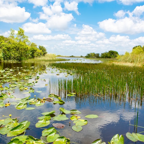 Everglades National Park