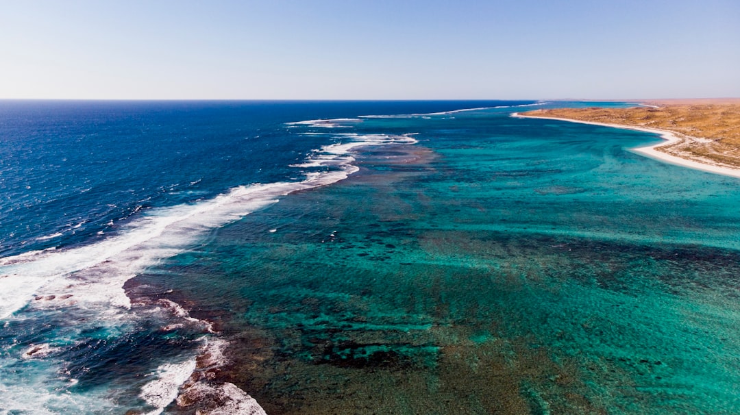 Champagne Reef