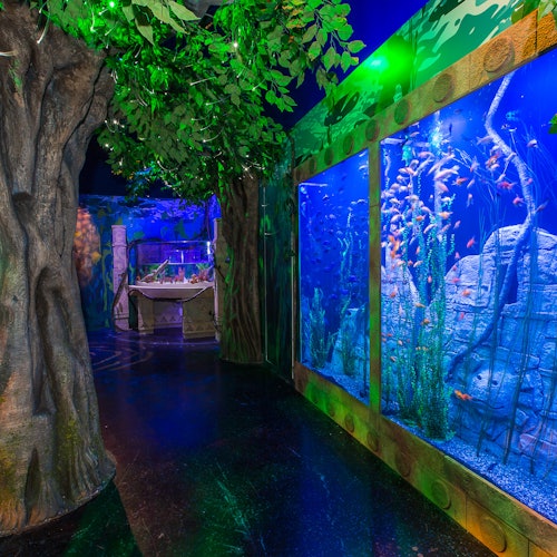 SEA LIFE Orlando