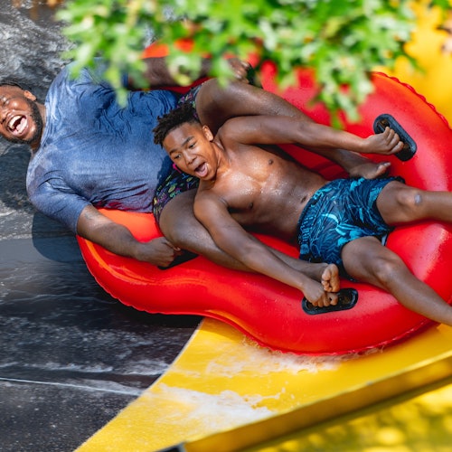Dutch Wonderland