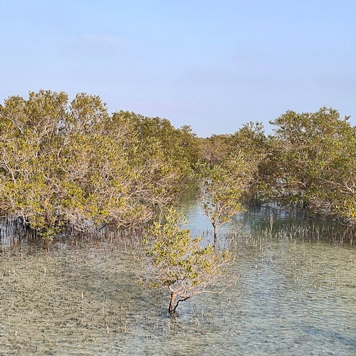 Parque Nacional de los Manglares