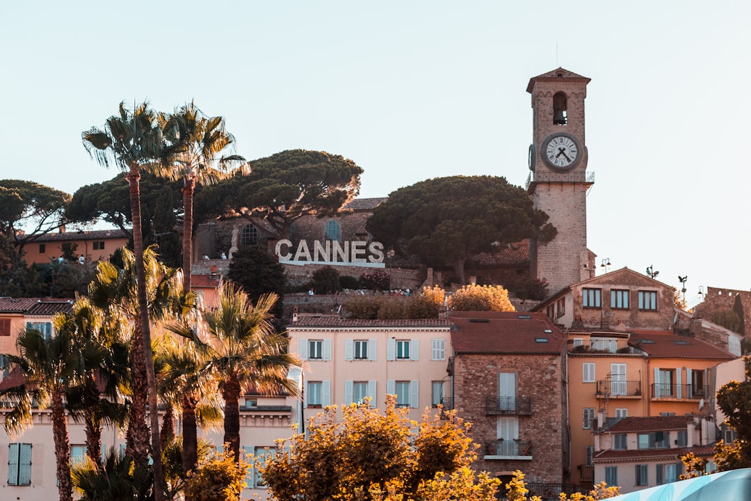Cannes Festival Palace