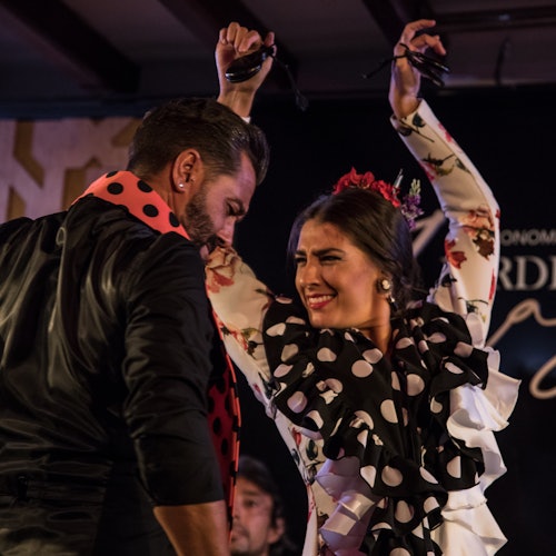 Espectáculos de Flamenco en Granada