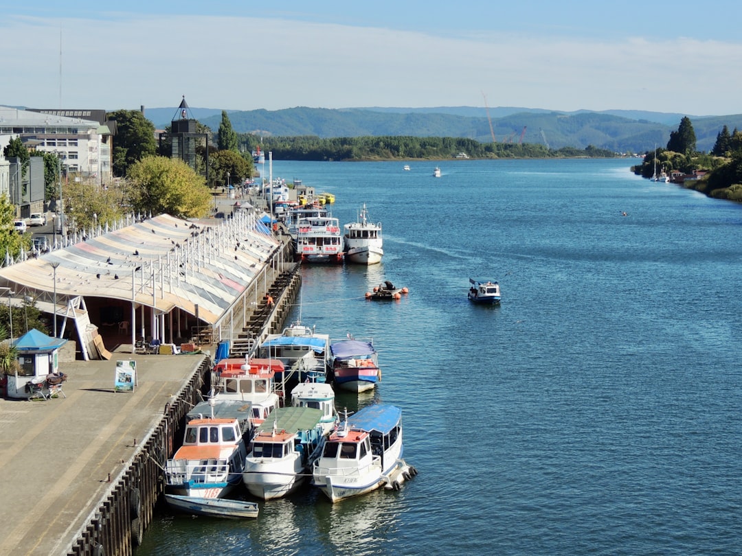Valdivia River Market
