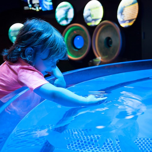 Ripley's Aquarium Myrtle Beach