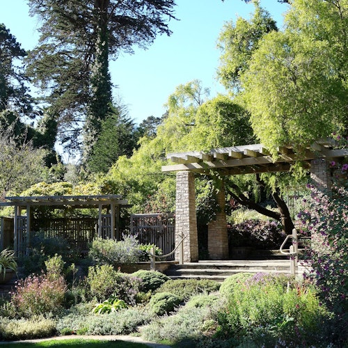 Jardim Botânico de San Francisco