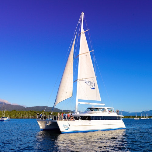 Cairns Marlin Marina