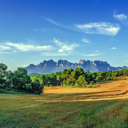 Montserrat Abbey