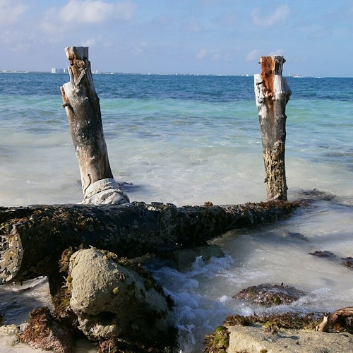 Praia Langosta