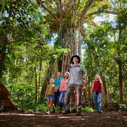 Day Trips from Cairns