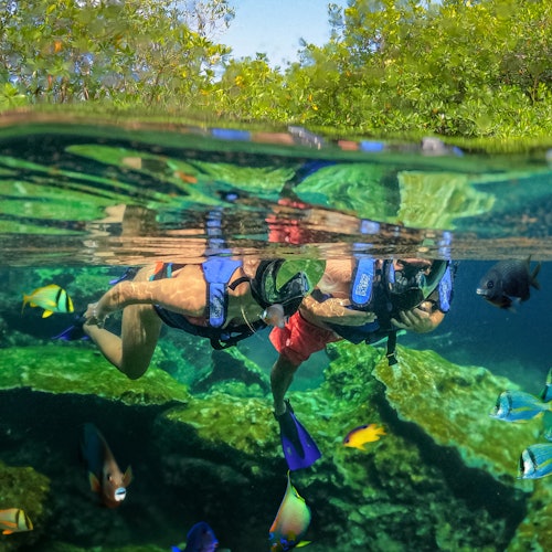 Excursão de um dia a Tulum e aos Cenotes a partir de Cancún