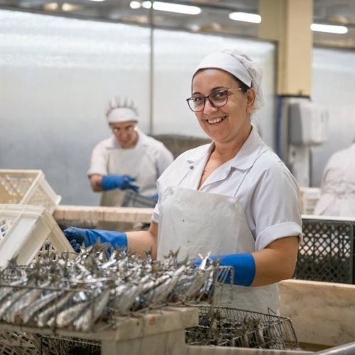 Sardinenfabrik Pinhais: Führung und Verkostung