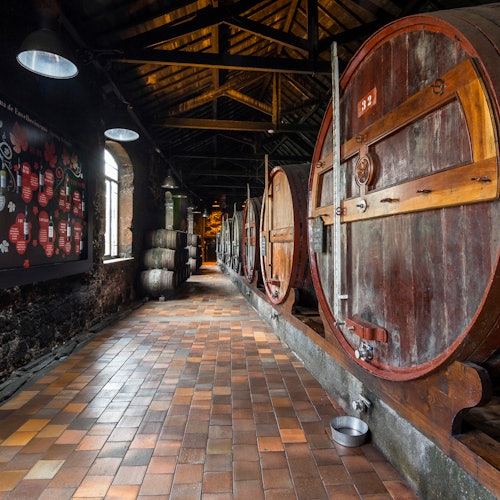 Burmester Cellars