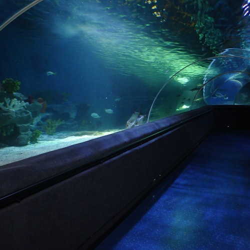 SEA LIFE Istanbul