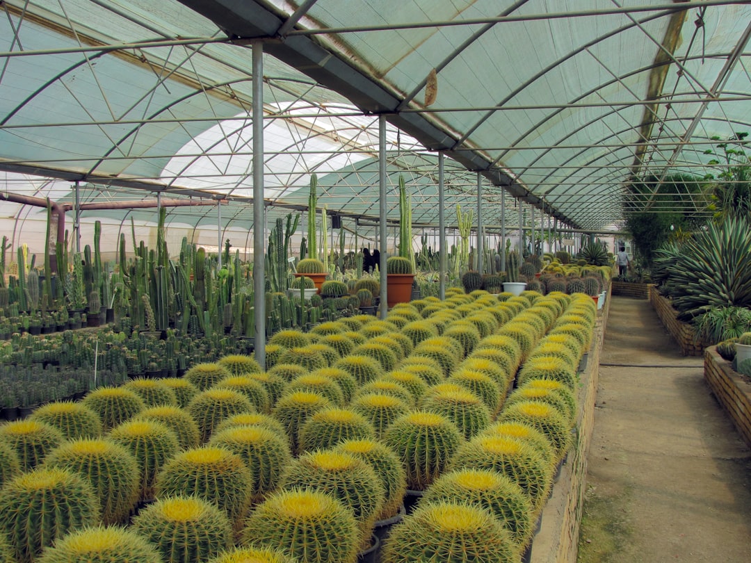 Vivero Florentino Ameghino