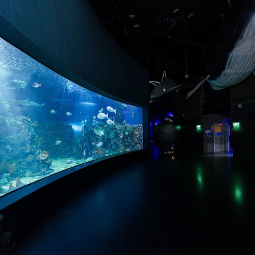 Inbursa Aquarium