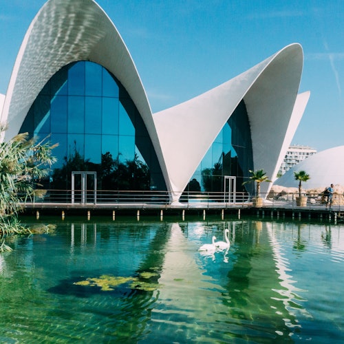 Oceanogràfic