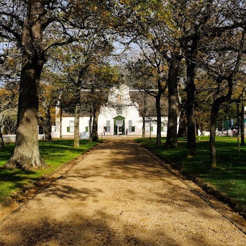 Groot Constantia Wine Estate