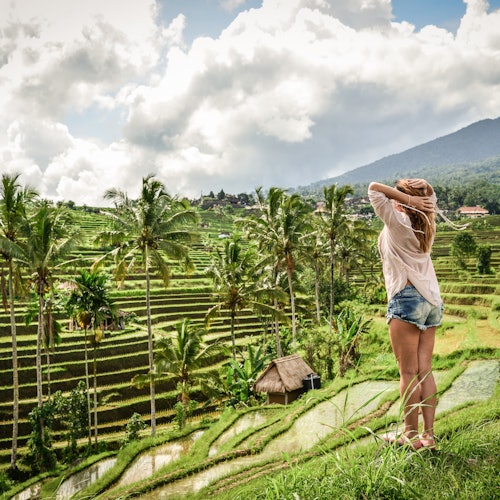 Tegalalang Rice Terraces