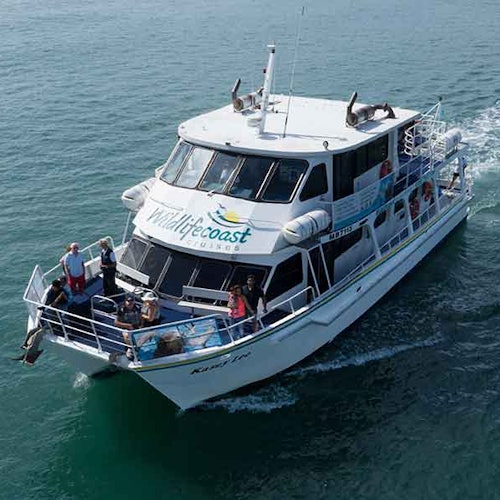 Paseos en barco por la Costa de la Fauna Silvestre