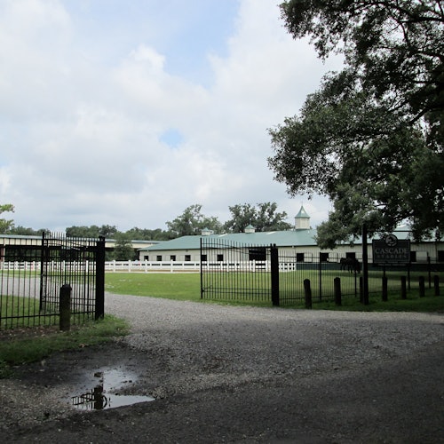 Audubon Park