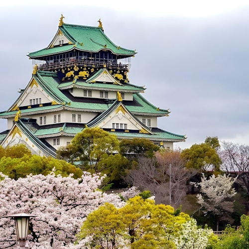 Recorridos a pie por Osaka