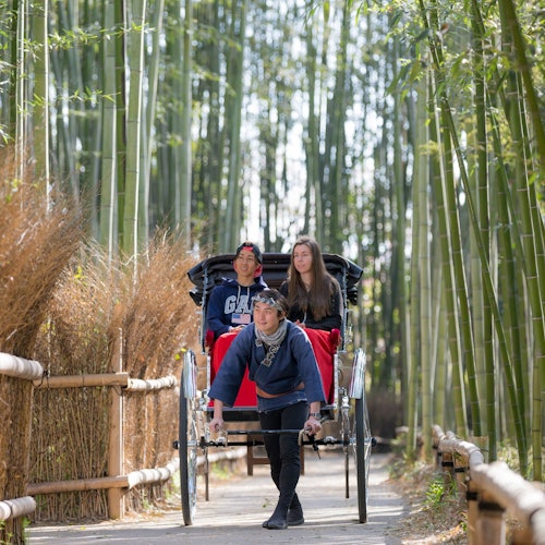 Excursiones de un día desde Kioto
