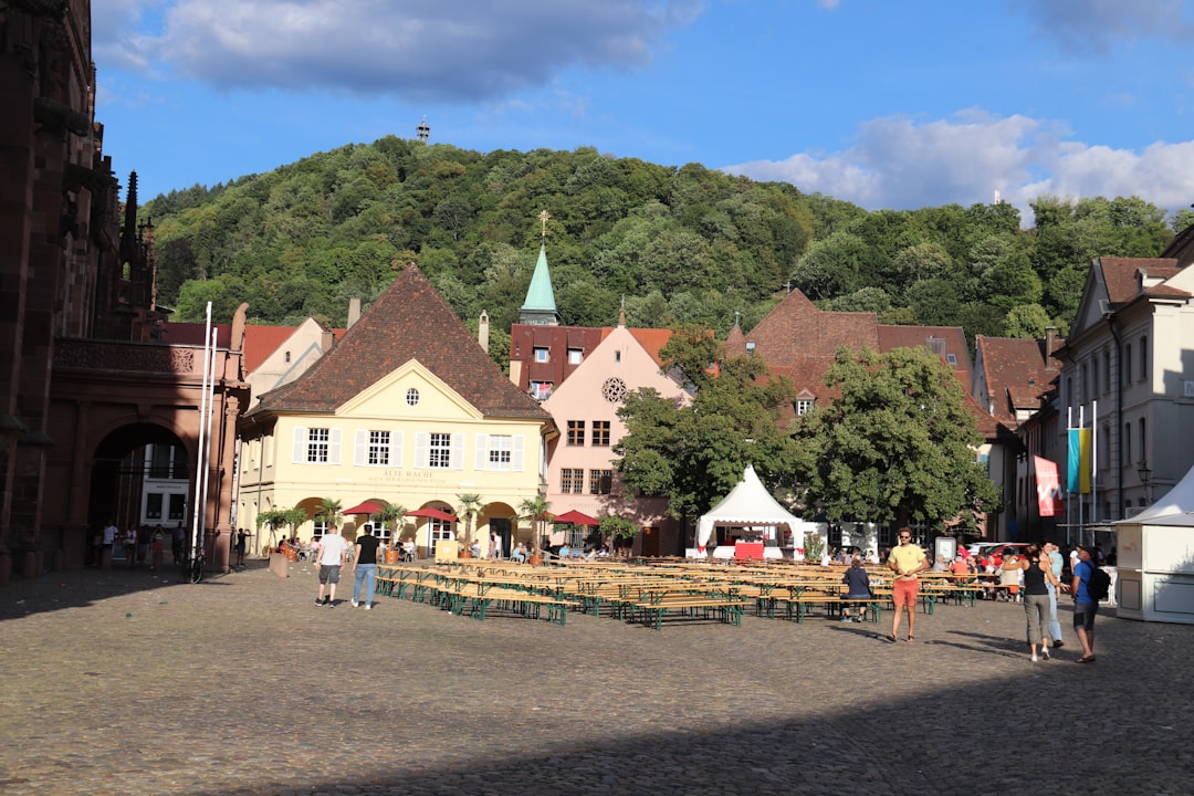Freiburger Bächle