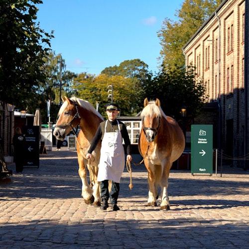 Home of Carlsberg