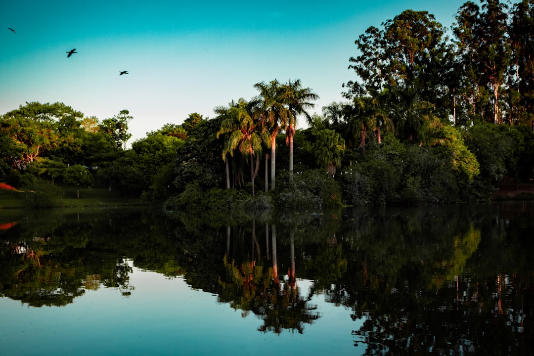 Parque das Aves