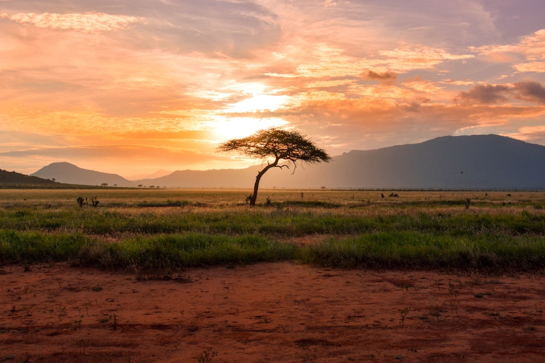 Afrika