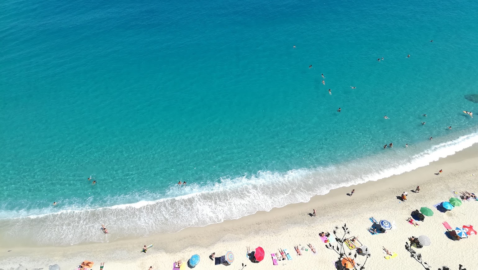 Tropea