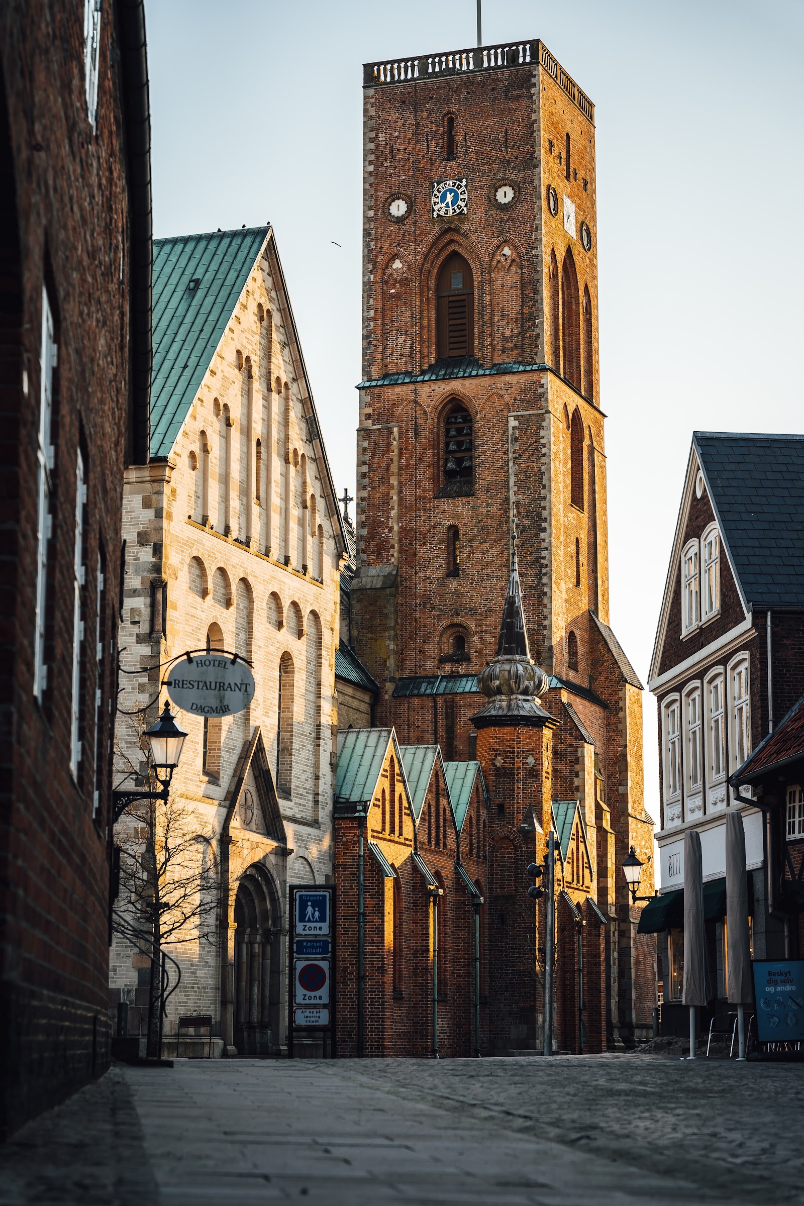 Ribe